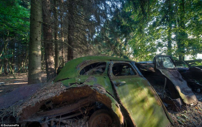 Illustration for article titled Chatillon, Belgium. The Graveyard Of The Cars Of The American Soldiers Deployed In Europe, Who Didn't Take Them Back To The U.S.A.